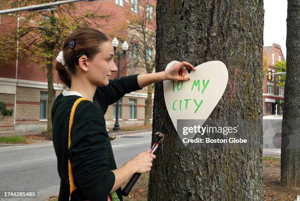 Lewiston, ME Artist Miia Zellner nails hearts she made to trees on Main Street the day after a mass shooting took place in the city.