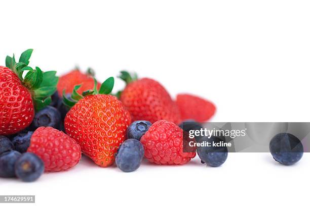 frutti di bosco - lampone mora di rovo foto e immagini stock