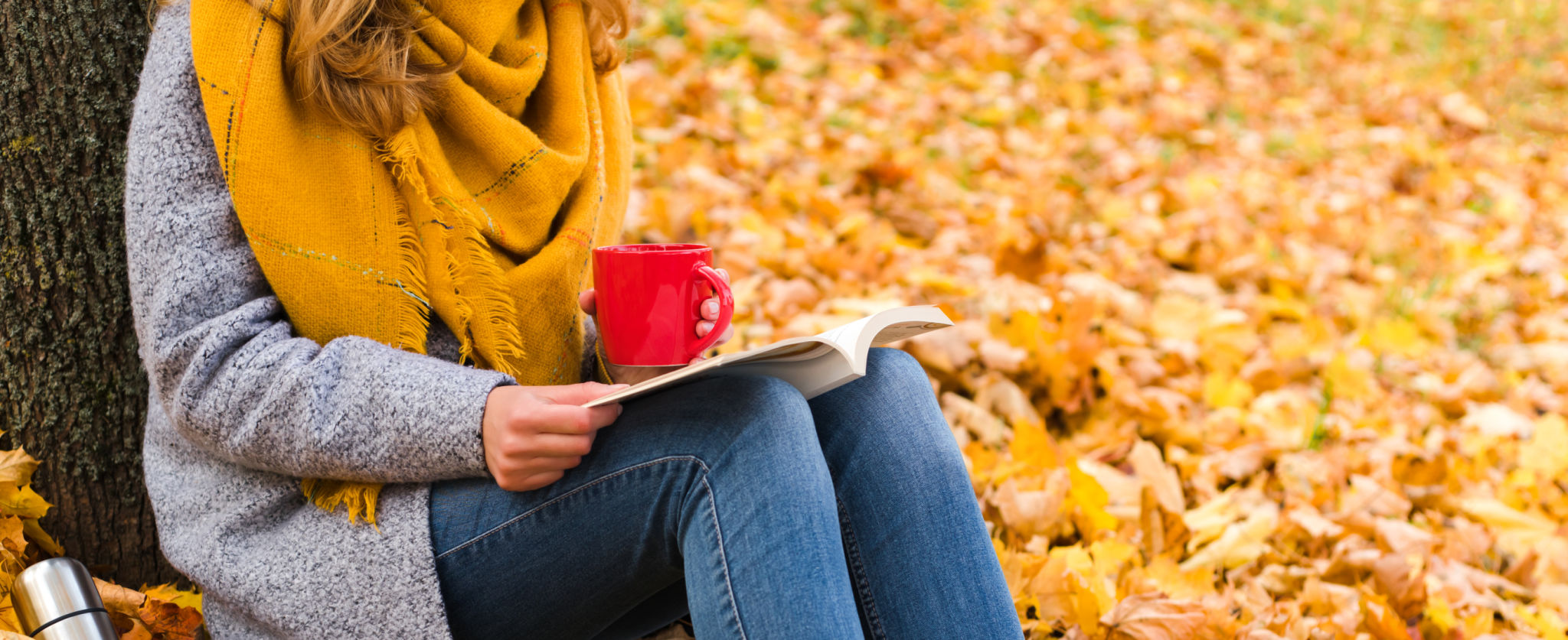 fall studying