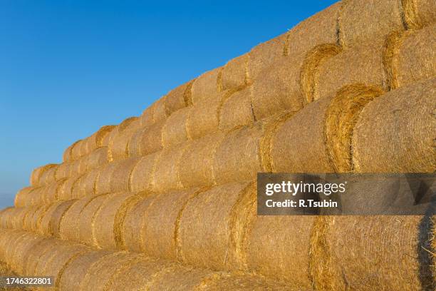 piled hay bales on a field against blue sky - stubble texture stock pictures, royalty-free photos & images