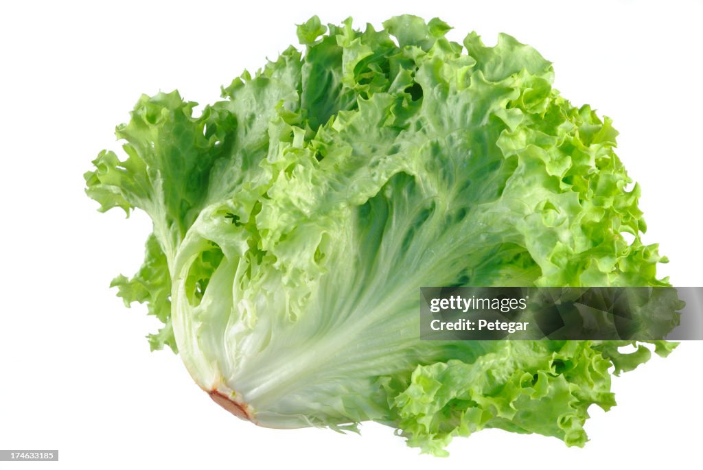 Head of lettuce on white background