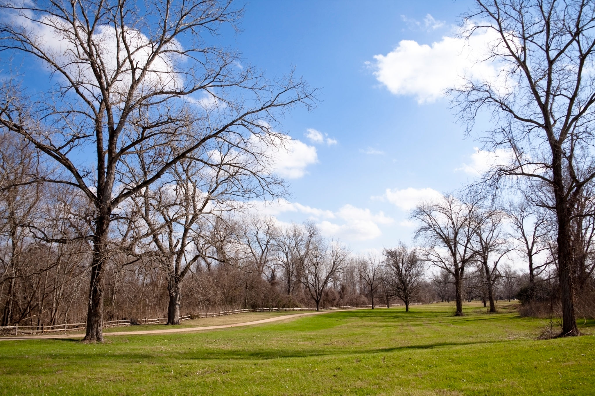 texas winter lawn