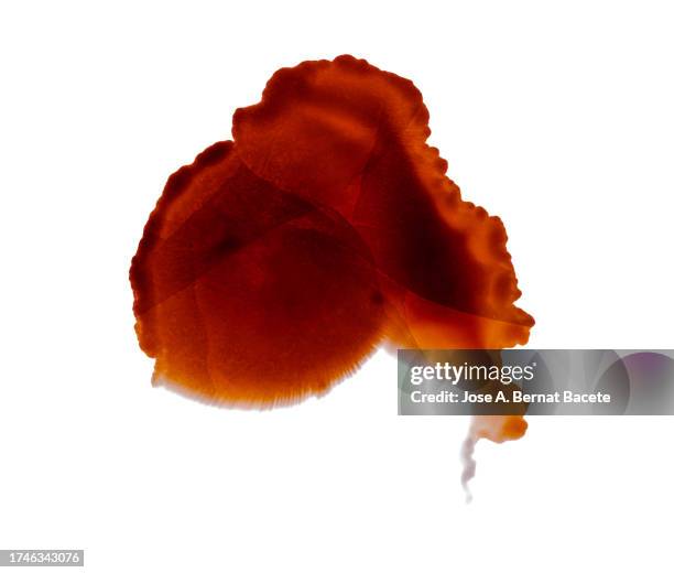 Blood Drop Thread 509 Human Blood Drop Formation Stock Photos, High-Res Pictures, and ...