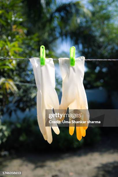 latex surgical gloves drying out on a clothesline rope. - rope lava stock pictures, royalty-free photos & images