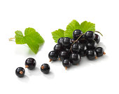 Blackcurrant bunch with Leafs