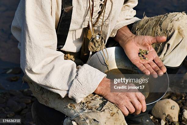 gold - gold miner stock pictures, royalty-free photos & images