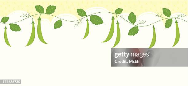 snap pea border - sugar snap pea stock illustrations