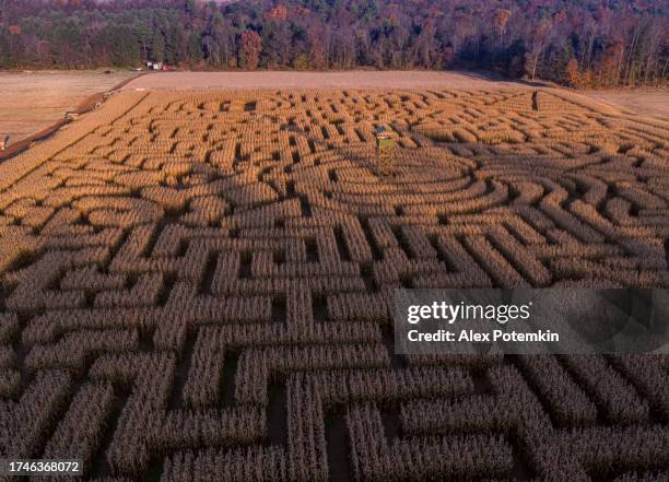 Corn Maze Shape Fotografías e imágenes de stock - Getty Images