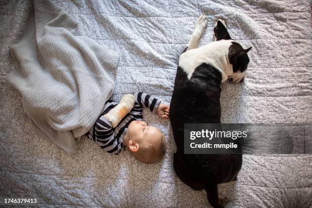 süße schlafsofa - gebrochener arm stock-fotos und bilder