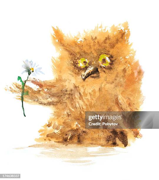 owl with a camomile - chamomile tea white background stock illustrations