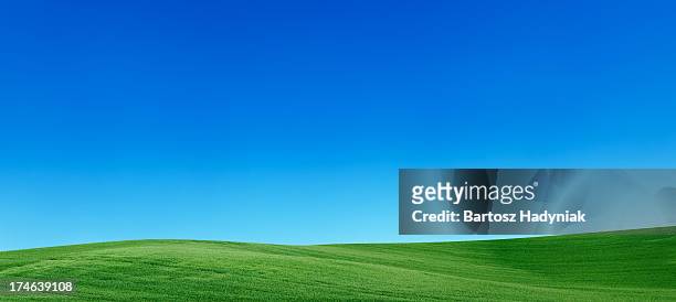 panoramic spring landscape 55mpix  xxxxl meadow, blue sky - clear sky bildbanksfoton och bilder