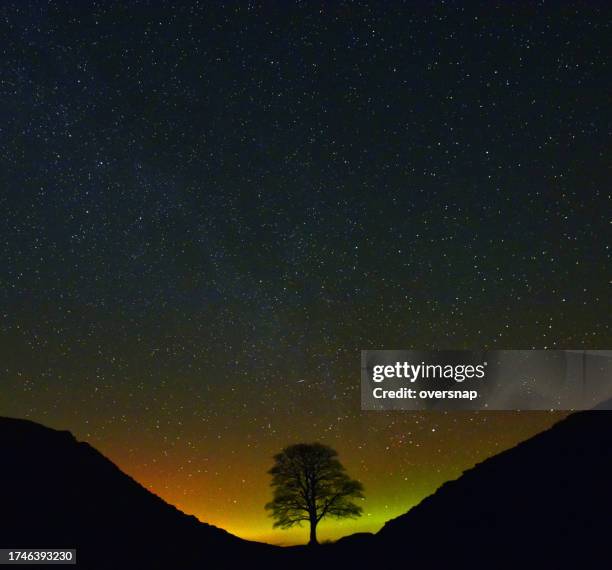 sycamore gap tree and aurora - northumberland stock pictures, royalty-free photos & images