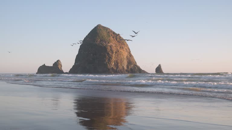 Haystack Rock Videos and HD Footage - Getty Images