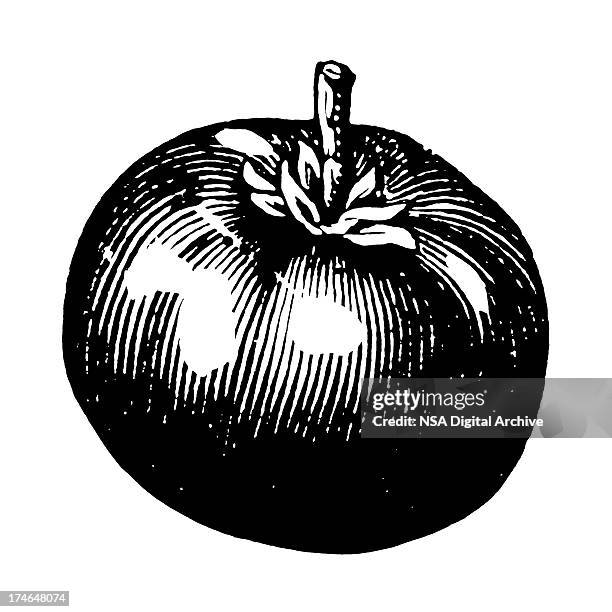 a drawing of a tomato in black and white - high contrast stock illustrations