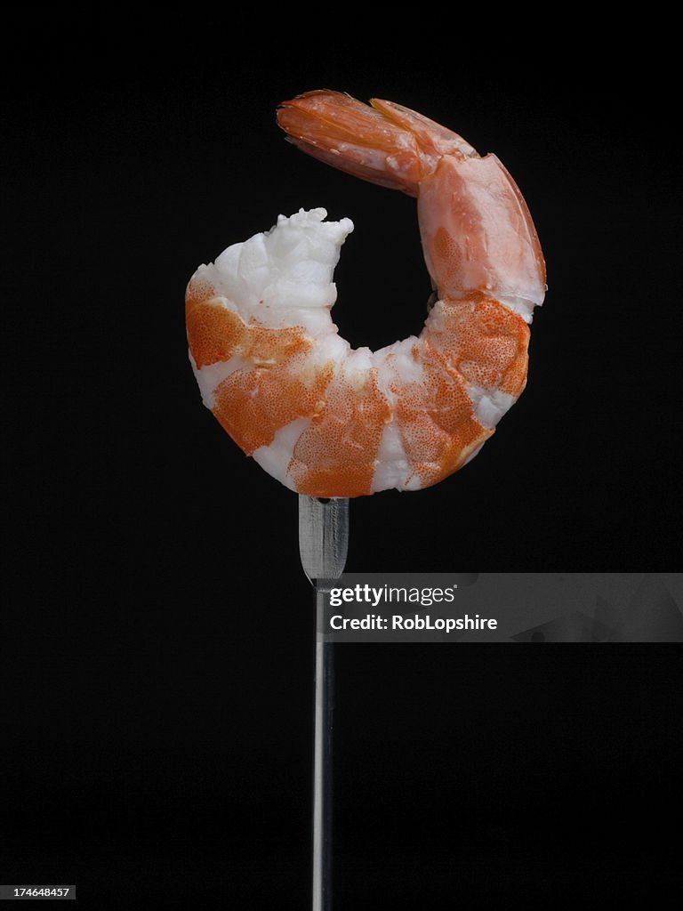 Shrimp