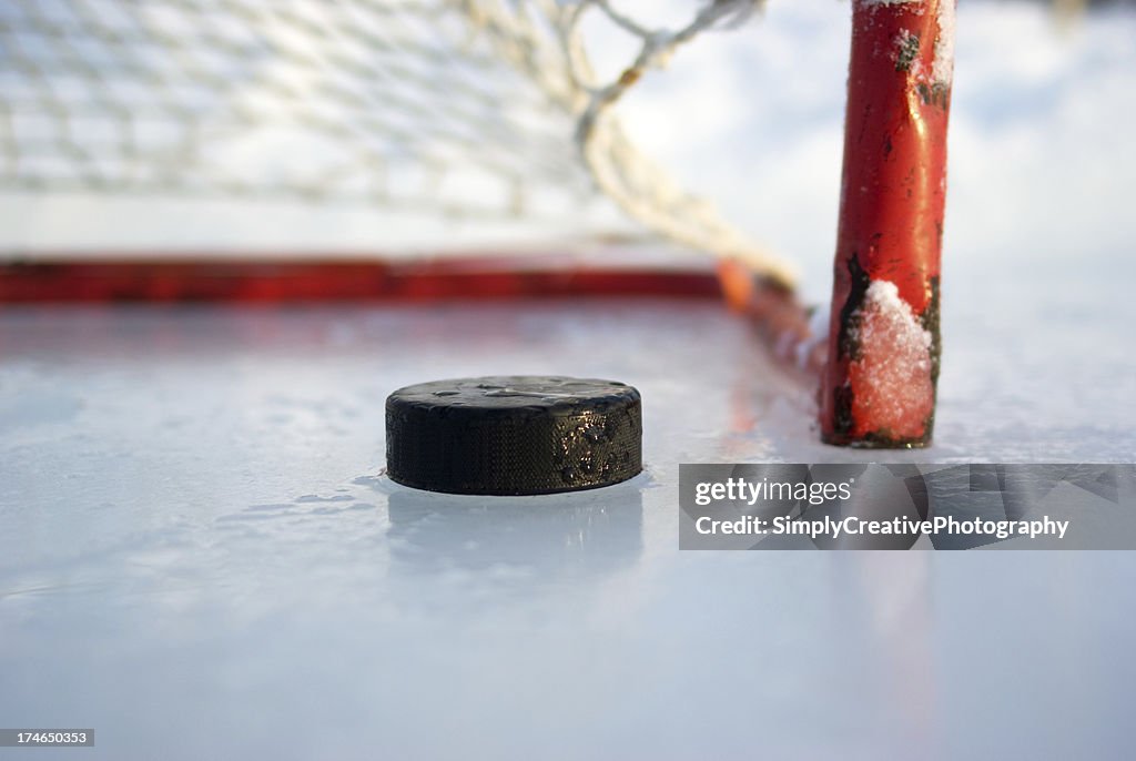 Hockey Net and Puck