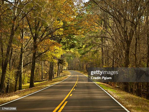 highway in autumn - natchez trace parkway stock pictures, royalty-free photos & images