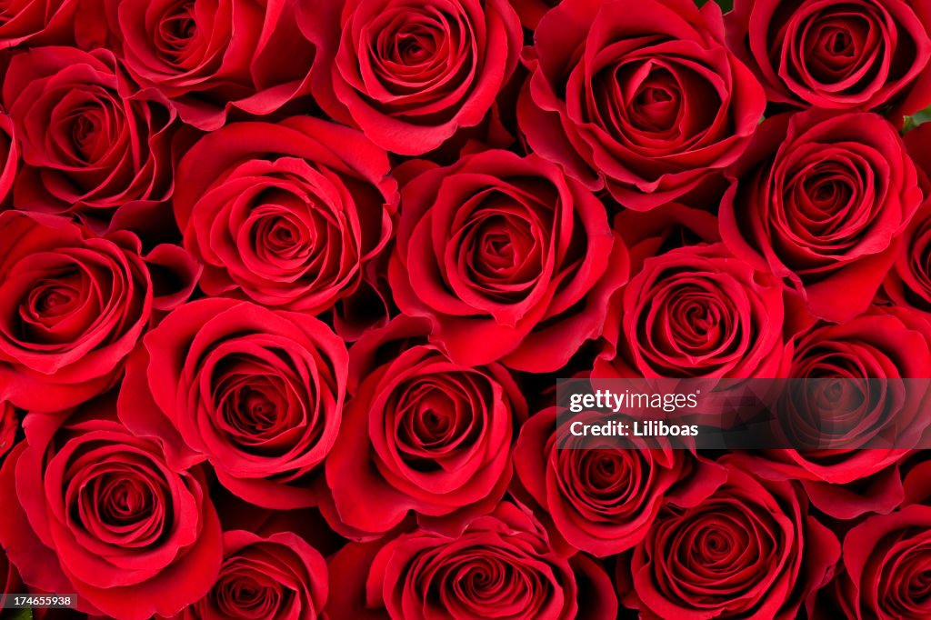 Fundo rosa