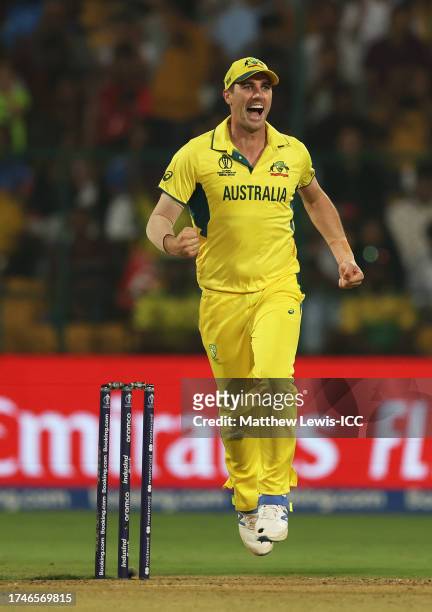 Pat Cummins of Australia celebrates the wicket of Abdullah Shafique of Pakistan during the ICC Men's Cricket World Cup India 2023 between Australia...