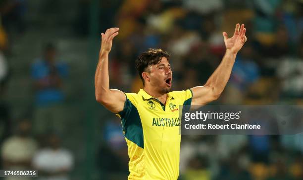 Marcus Stoinis of Australia celebrates the wicket of Imam-ul-Haq of Pakistan during the ICC Men's Cricket World Cup India 2023 between Australia and...