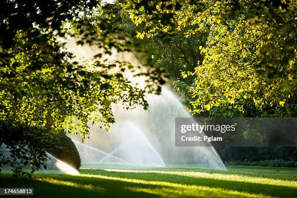 lawn watering spray from the garden hose - sprinkler stock pictures, royalty-free photos & images