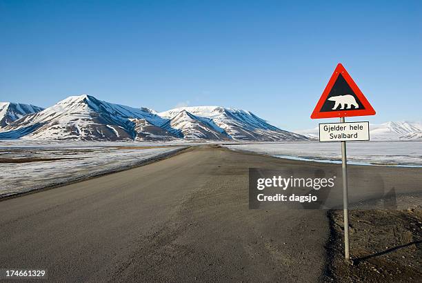 road sign with polar bear - spitsbergen stockfoto's en -beelden