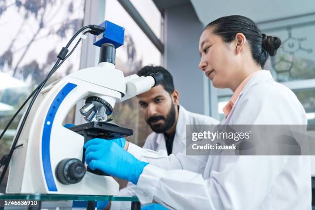 male and female scientists using microscope at laboratory - scientific research stock pictures, royalty-free photos & images