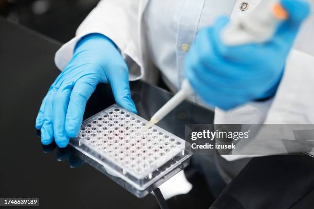 sección media de una joven bioquímica usando una pipeta sobre una placa de pocillos múltiples en el laboratorio - contenedor de muestras fotografías e imágenes de stock