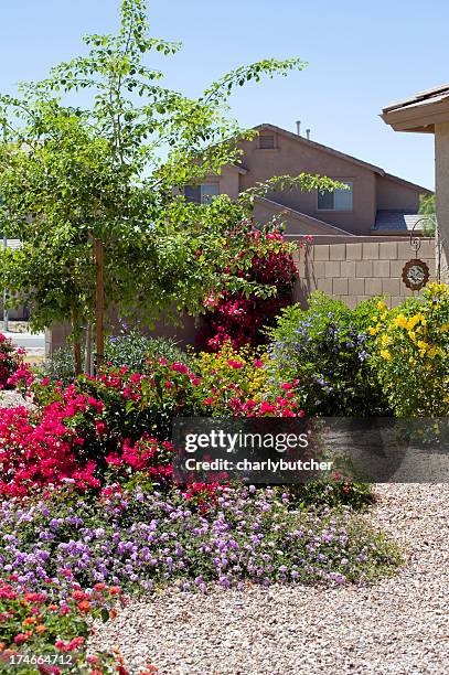 desert landscaping - landscaped flowers stock pictures, royalty-free photos & images