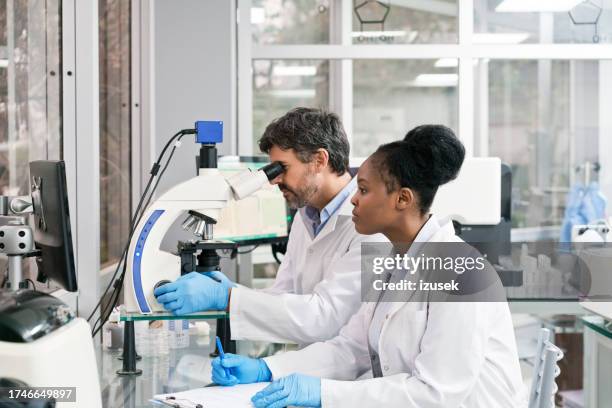 giovane biochimico femminile seduto da un tecnico maschio maturo che guarda attraverso il microscopio - ricerca scientifica foto e immagini stock
