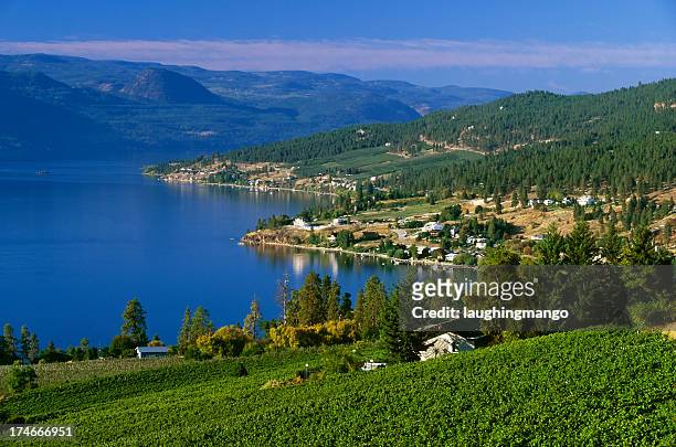 winery rural scenic lake landscape - kelowna stock pictures, royalty-free photos & images