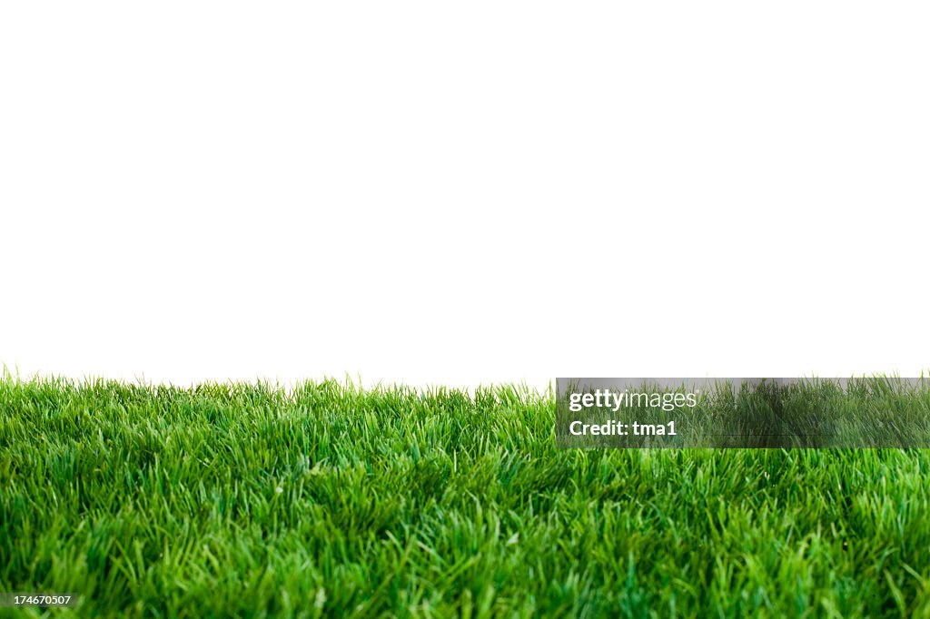 Verde Grass