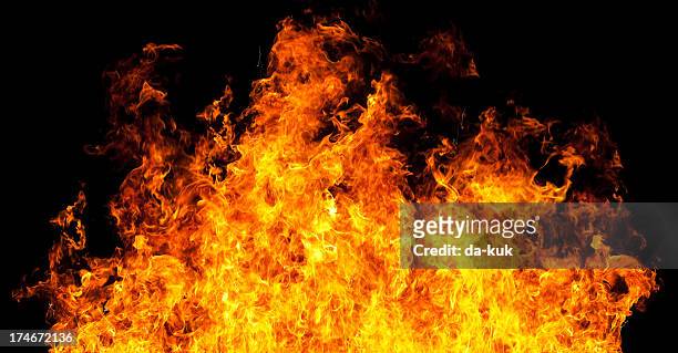 fire llamas - llama fotografías e imágenes de stock