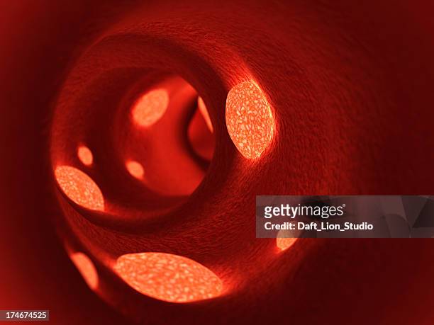 coágulos en la vena - coágulo de sangre fotografías e imágenes de stock