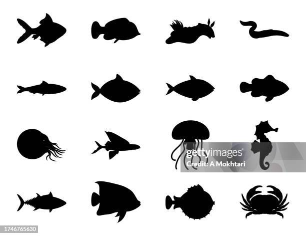 ilustraciones, imágenes clip art, dibujos animados e iconos de stock de diversidad del mundo marino, peces, medusas, cangrejos... - pescado