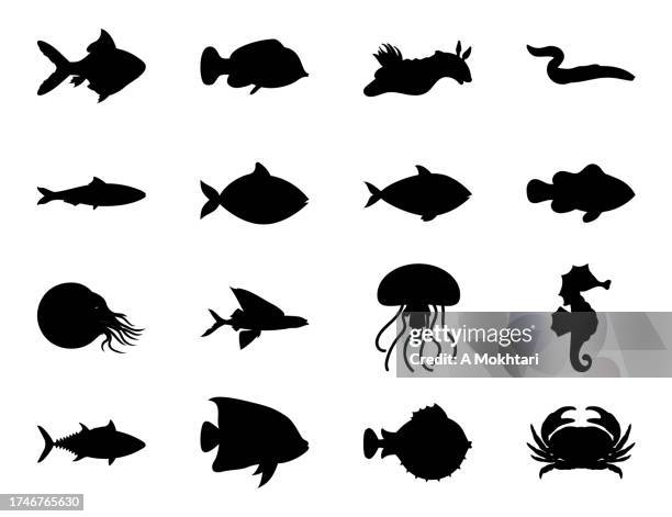 ilustrações de stock, clip art, desenhos animados e ícones de diversity of the marine world, fish, jellyfish, crab... - marine icon