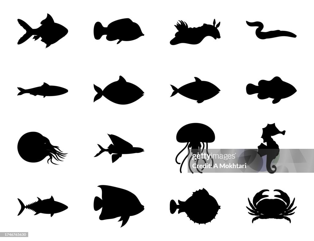Diversity of the marine world, fish, jellyfish, crab...