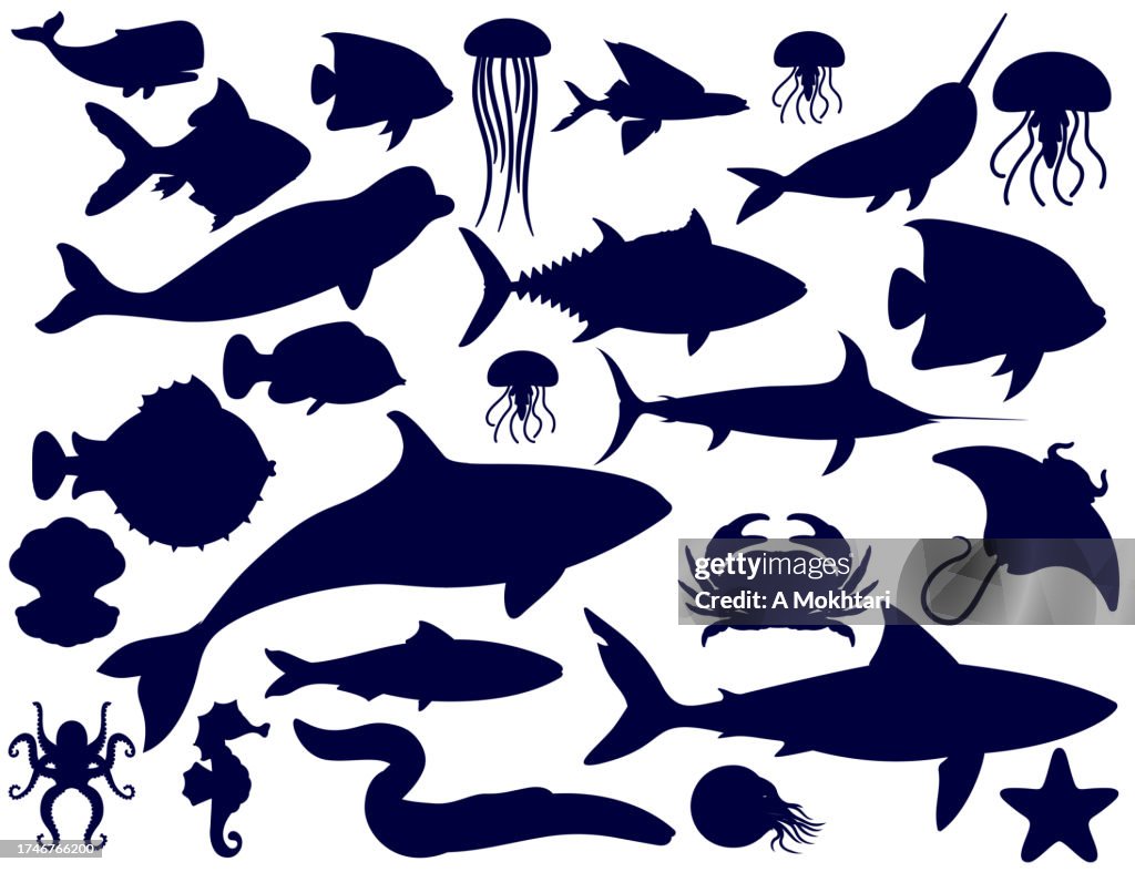 Fish silhouette.