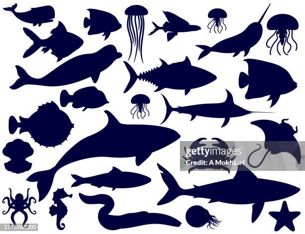 fish silhouette. - puffer fish stock illustrations