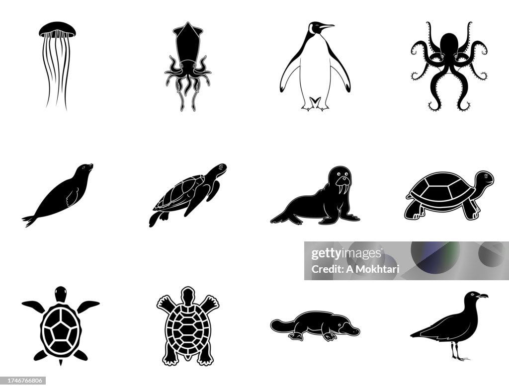 Ikone und Illustration der Vielfalt der Meerestiere.