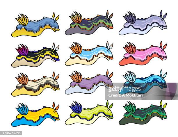 ilustrações de stock, clip art, desenhos animados e ícones de icon and illustration of various nudibranch in different colors. - biodiversidade