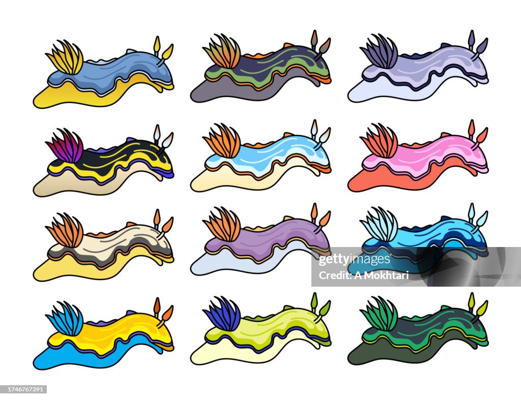 Icon and illustration of various nudibranch in different colors.