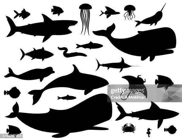 ilustraciones, imágenes clip art, dibujos animados e iconos de stock de silueta de pescado. - pez espada