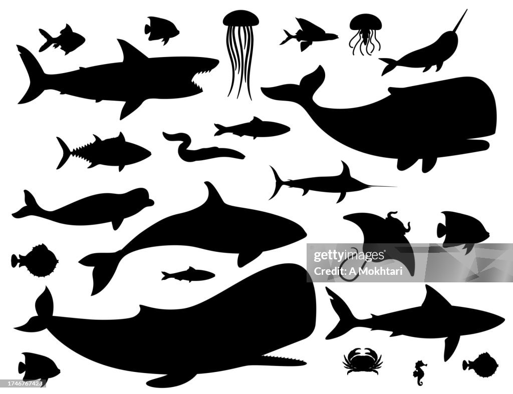 魚のシルエット。