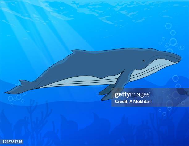 whale at the bottom of the ocean.. - humpback whale stock illustrations