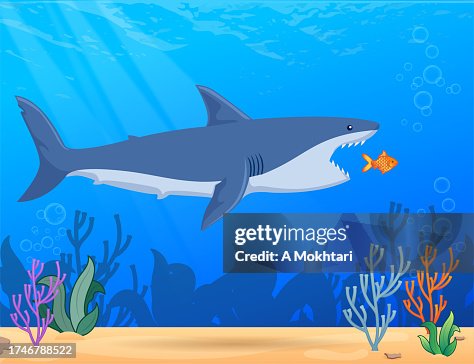 Shark eats a fish. Shark eats a fish.