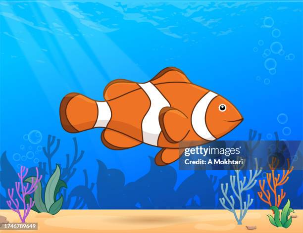 bildbanksillustrationer, clip art samt tecknat material och ikoner med clown fish in the sea. - blue anemone