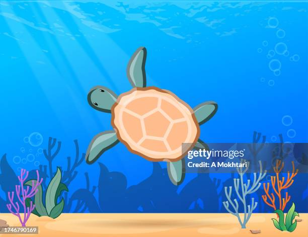 schildkröte auf see. - meeresboden stock-grafiken, -clipart, -cartoons und -symbole