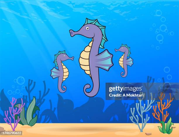 hippocampus. - longsnout seahorse stock illustrations