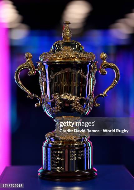 Detailed view of the The Webb Ellis Cup on display prior to the Rugby World Cup France 2023 semi-final match between Argentina and New Zealand at...